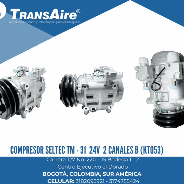 Compresor seltec tm - 31 24V 2 canales b (KTO53)