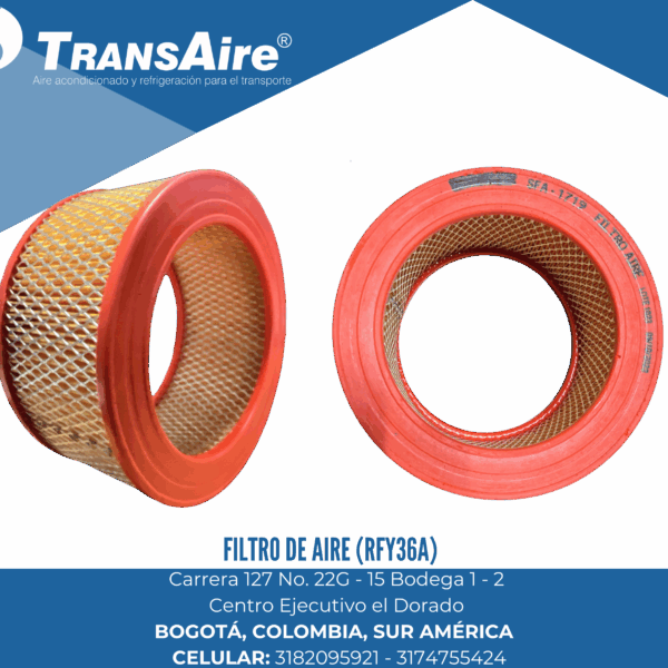 Filtro de aire (RFY36a)