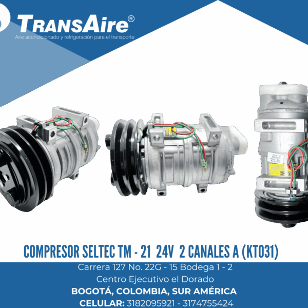 Compresor Seltec tm - 21 24V 2 canales a (KTO31)