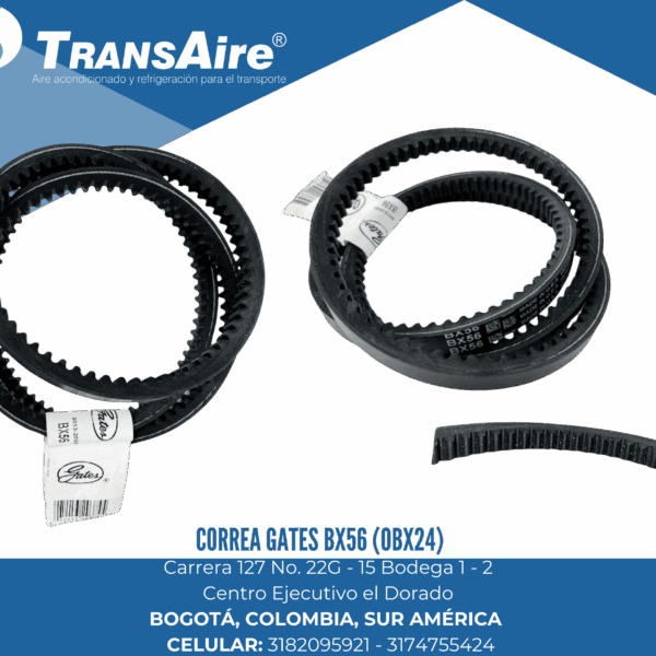 Correa Gates Bx56 (OBX24)