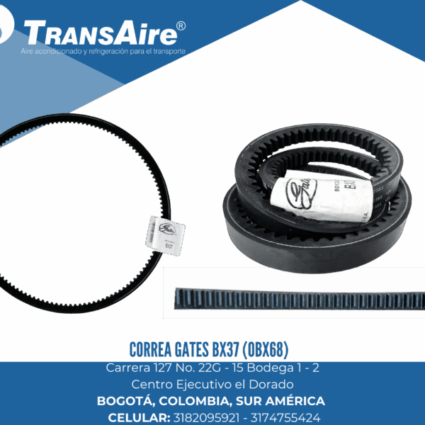 Correa Gates Bx37 (OBX68)